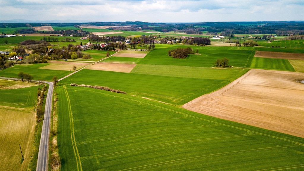 Działka Sprzedaż Jaszów