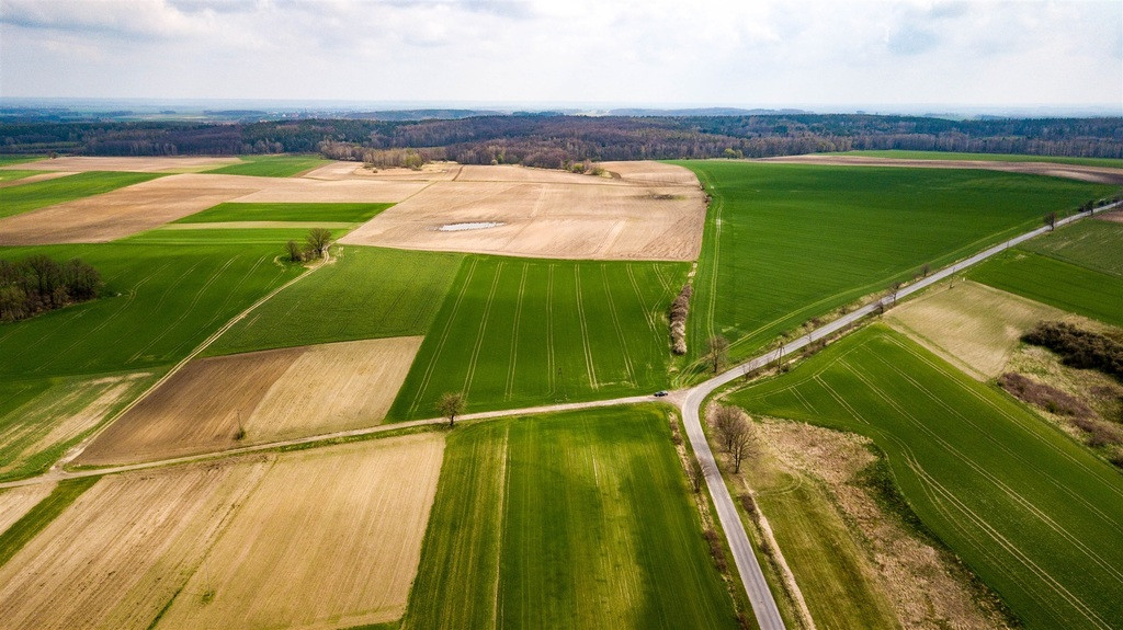 Działka Sprzedaż Jaszów