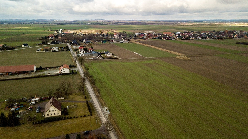 Działka Sprzedaż Stępin