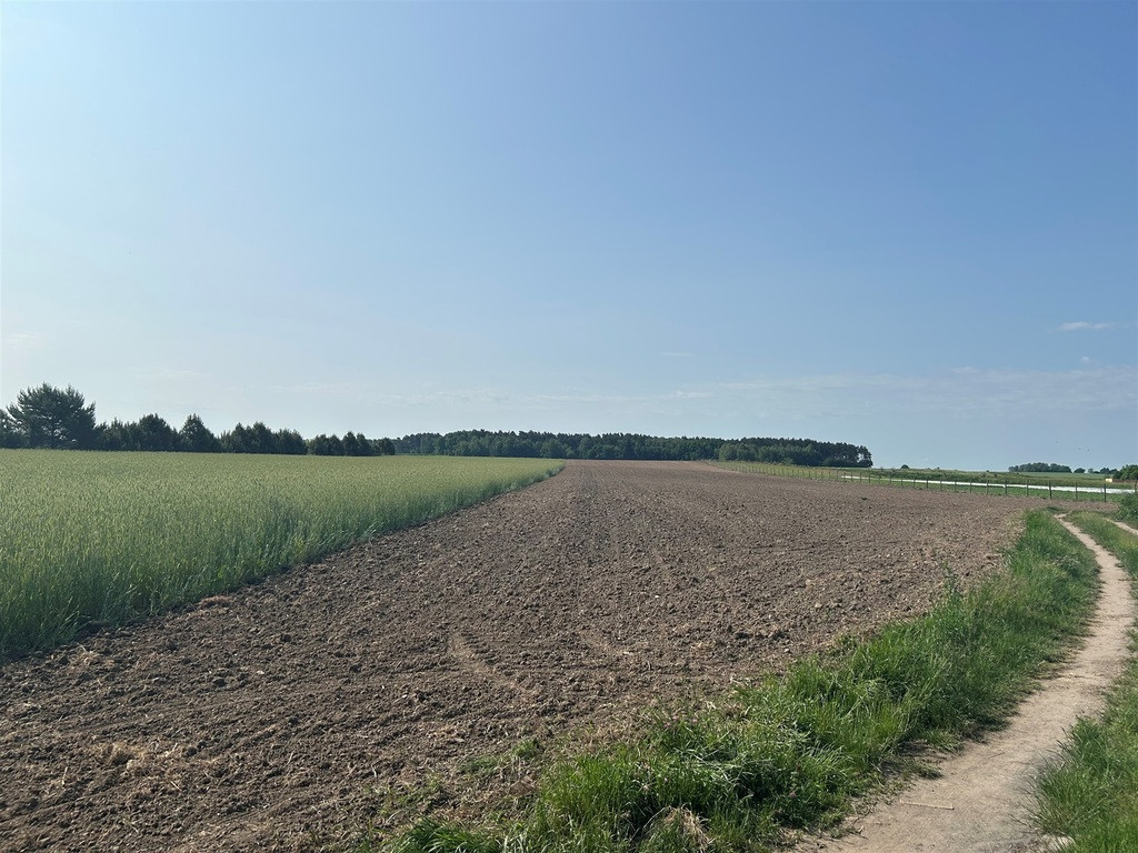 Działka Sprzedaż Bielawa Akacjowa