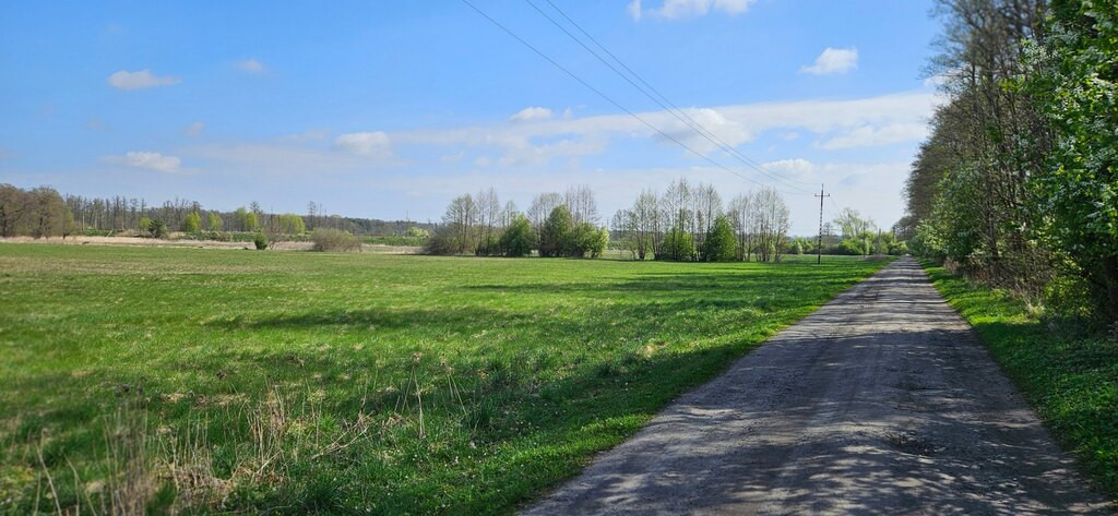 Działka Sprzedaż Borucice 3