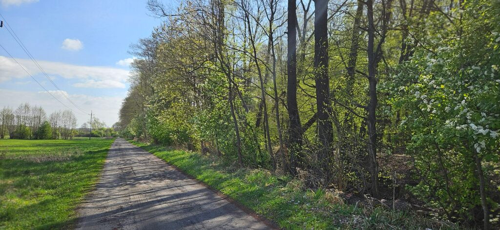Działka Sprzedaż Borucice 4