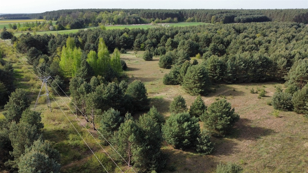 Działka Sprzedaż Biskupice Oławskie Polna 6