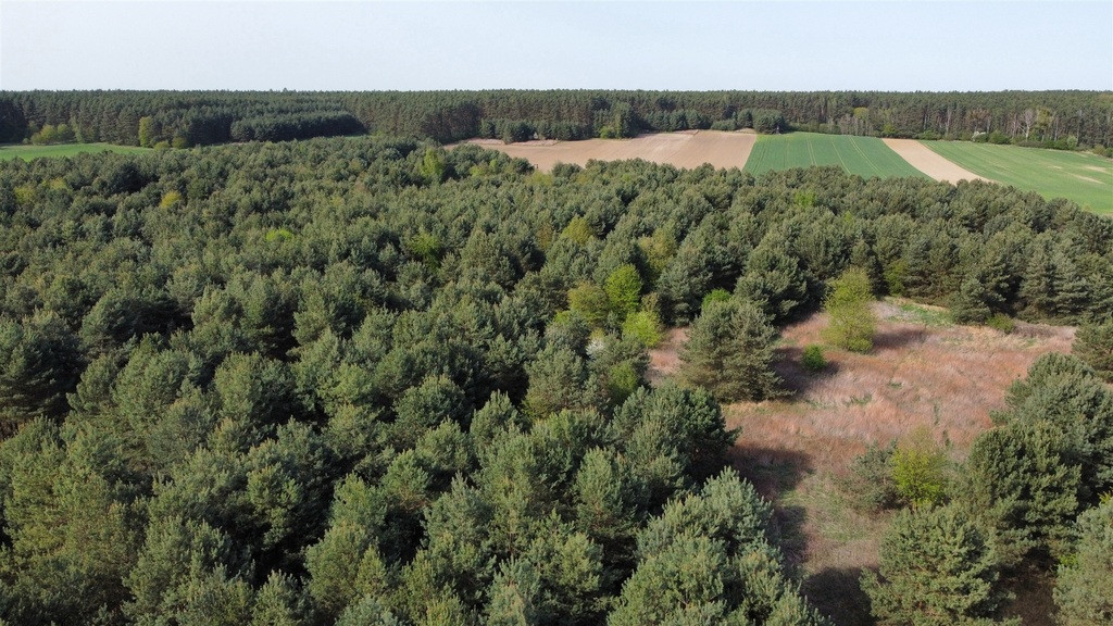 Działka Sprzedaż Biskupice Oławskie Polna 12