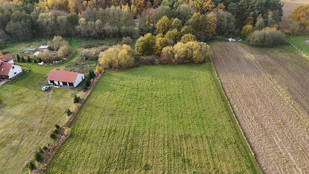 Działka Sprzedaż Kobylice Radosna