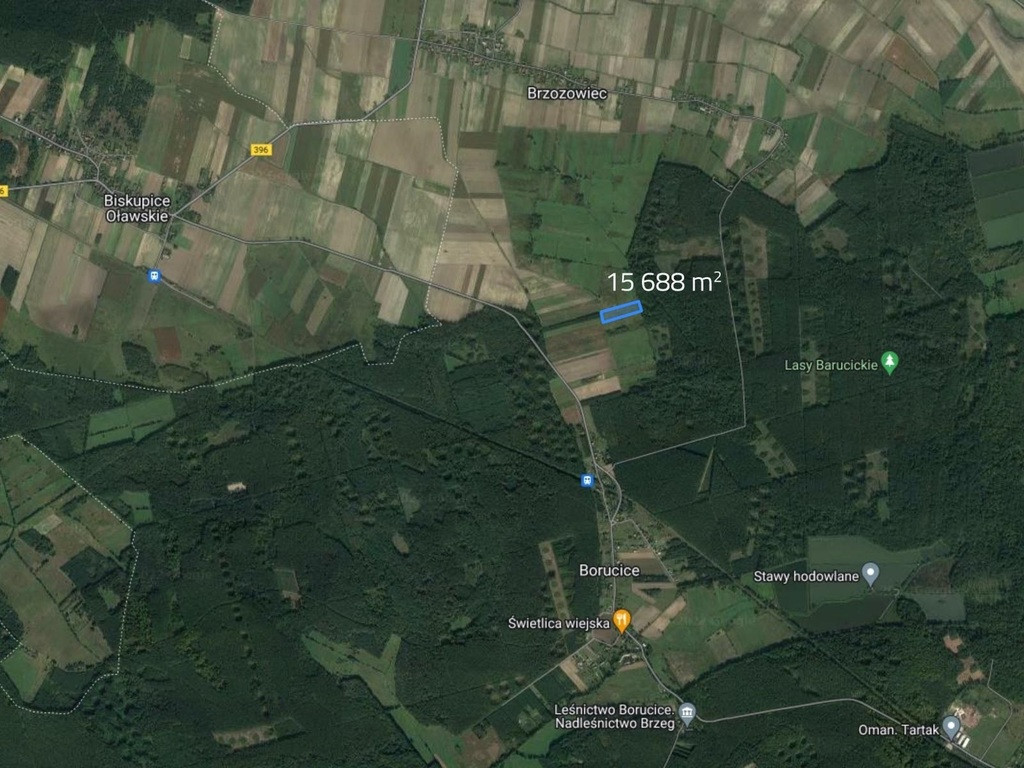Działka Sprzedaż Borucice 2