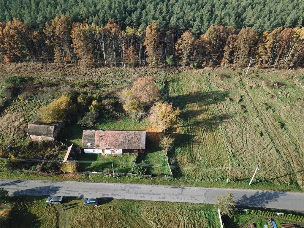 Działka Sprzedaż Borucice 4