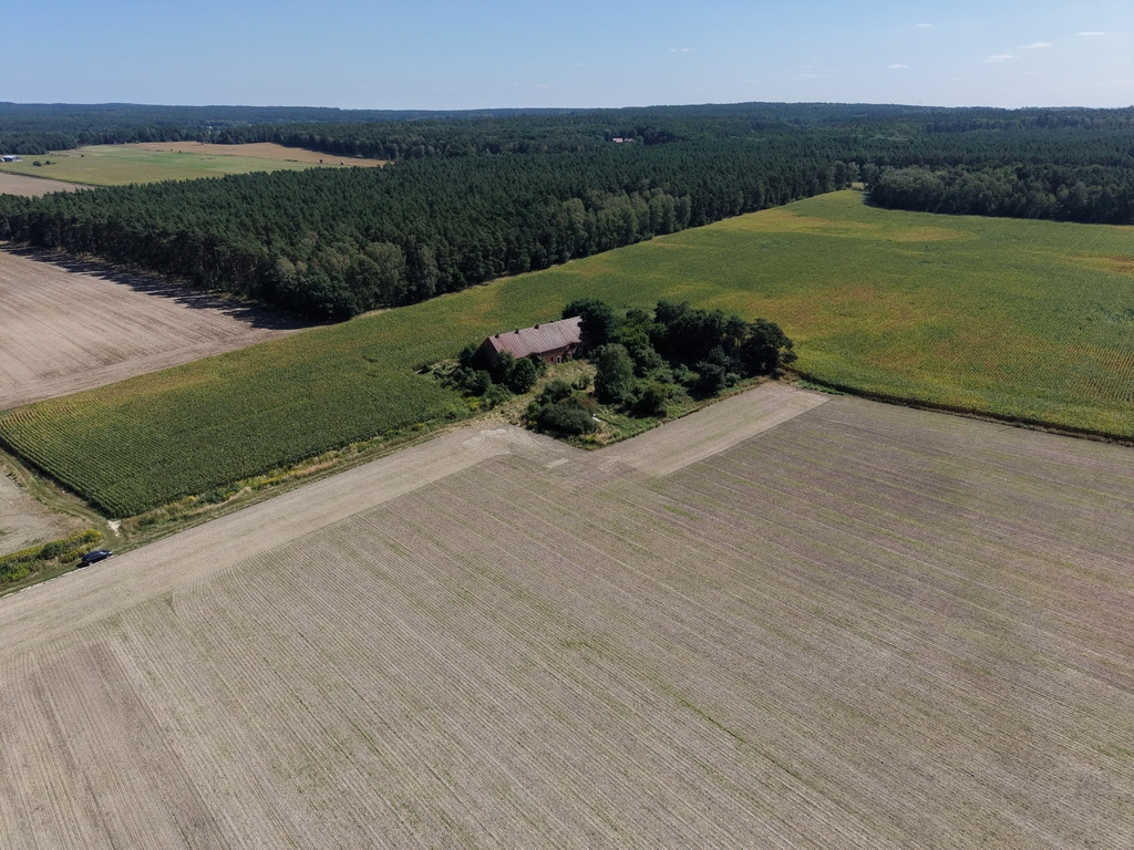 Działka Sprzedaż Syców Kaliska 5