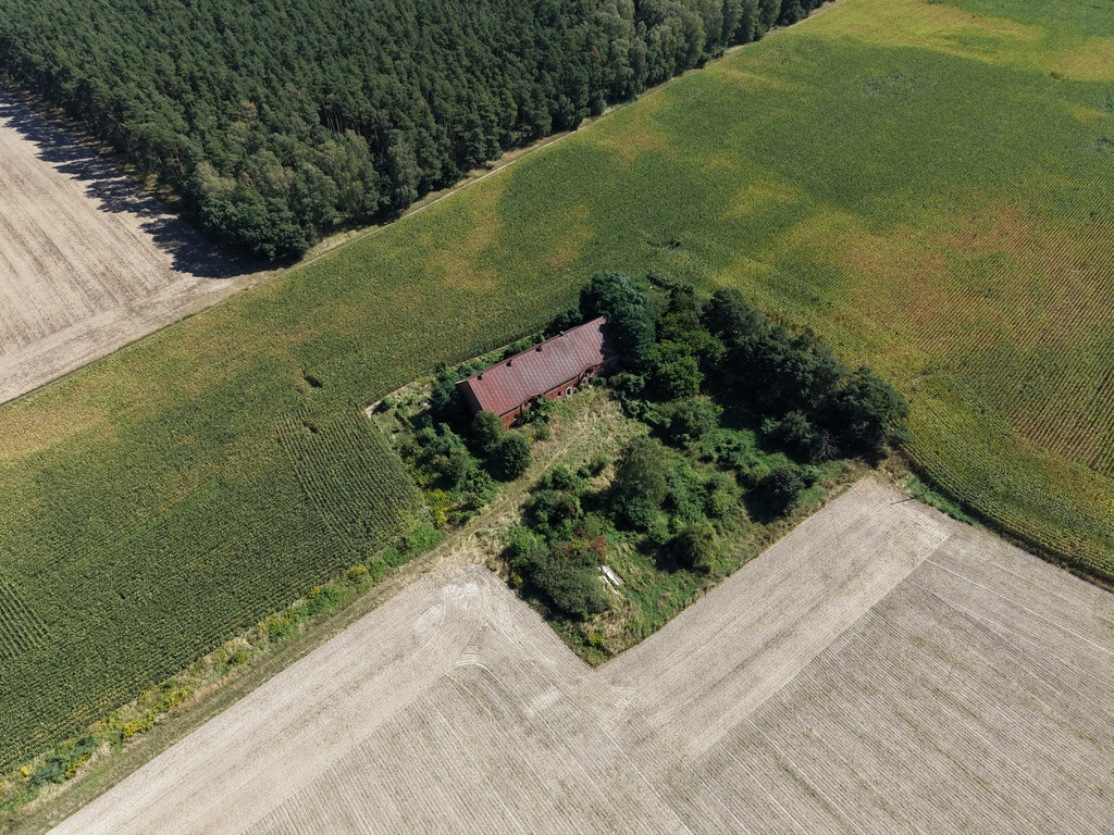 Działka Sprzedaż Syców Kaliska