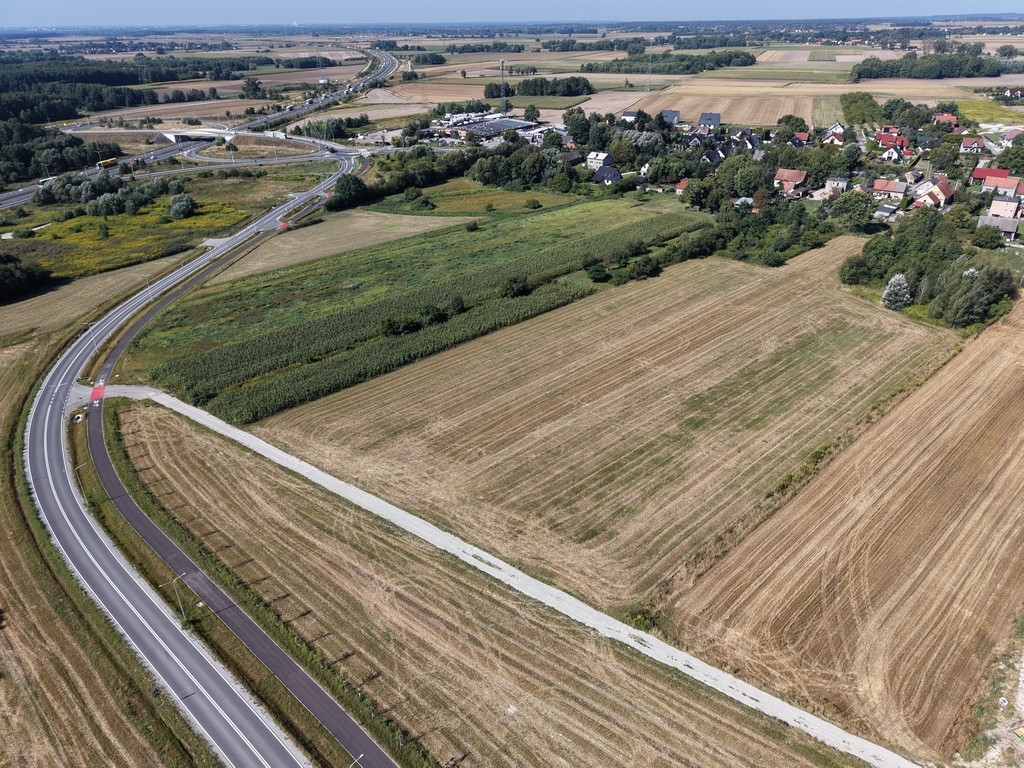 Działka Sprzedaż Łozina Lipowa