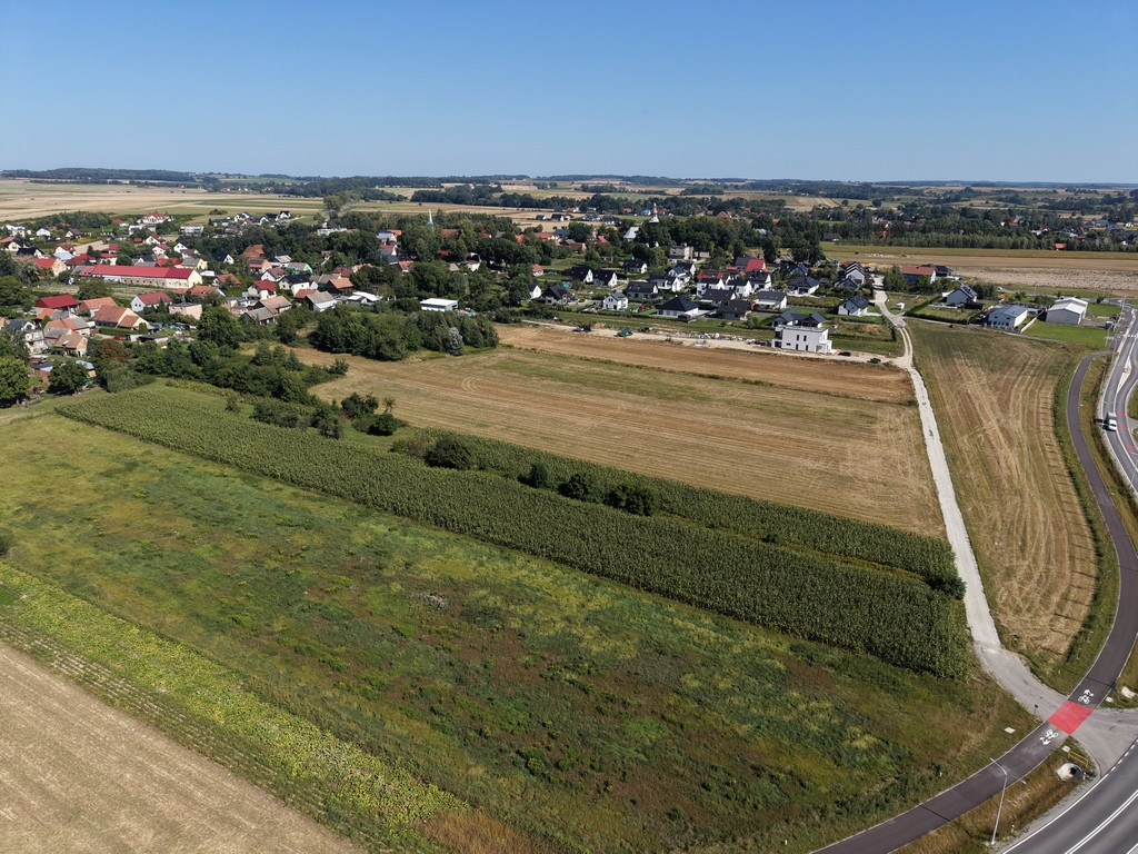 Działka Sprzedaż Łozina Lipowa