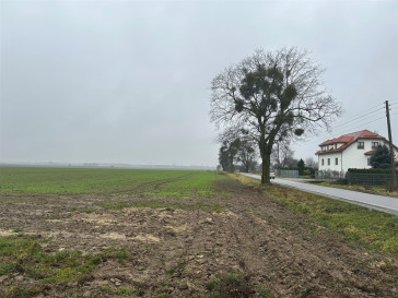 Działka Sprzedaż Stępin