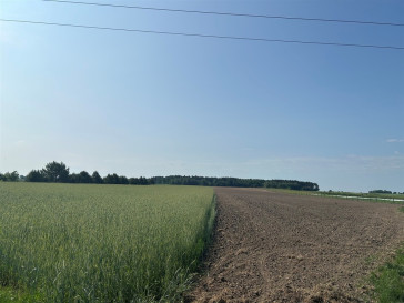 Działka Sprzedaż Bielawa Akacjowa