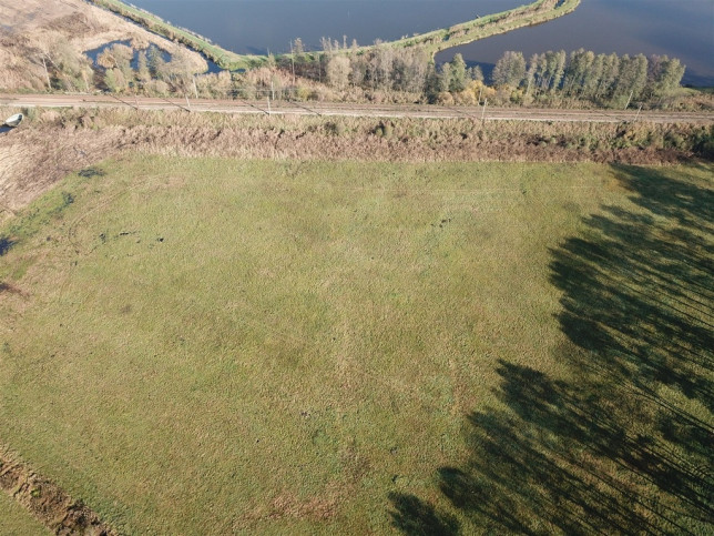Działka Sprzedaż Borucice 6
