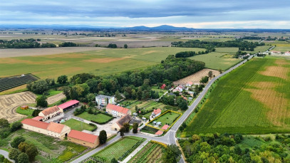 Mieszkanie Sprzedaż Danielowice
