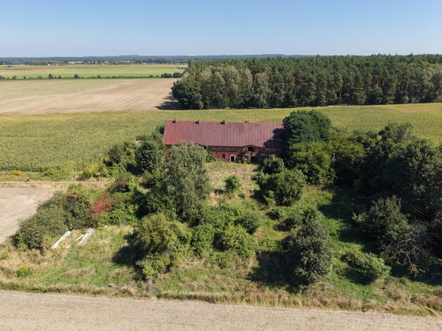 Działka Sprzedaż Syców Kaliska 2