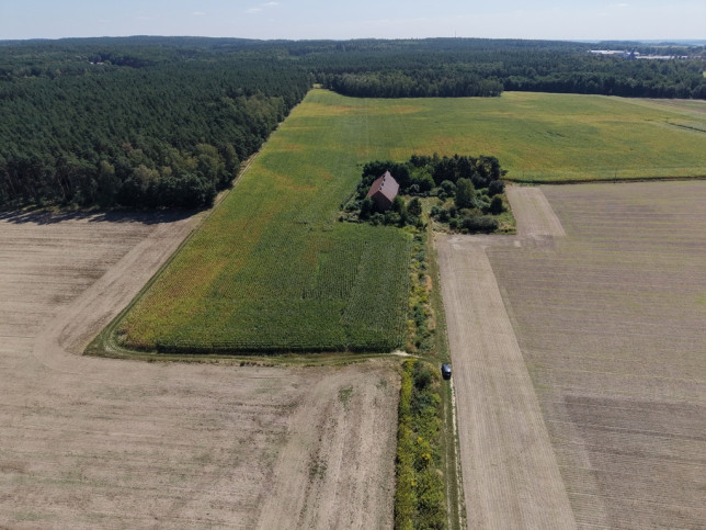 Działka Sprzedaż Syców Kaliska 1