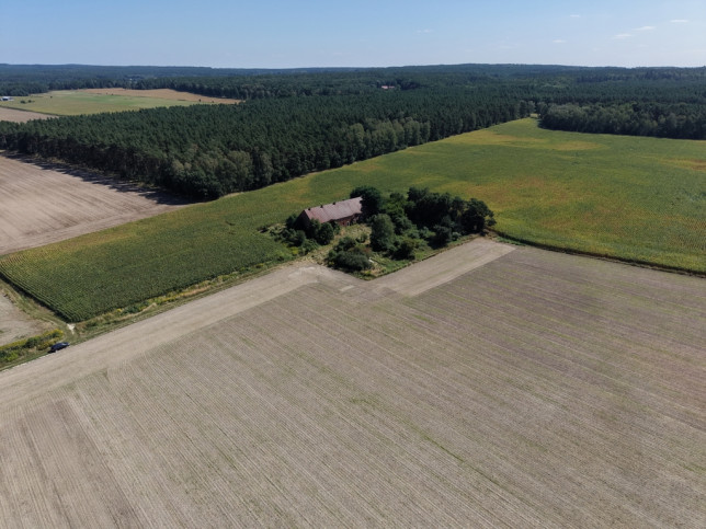Działka Sprzedaż Syców Kaliska 5